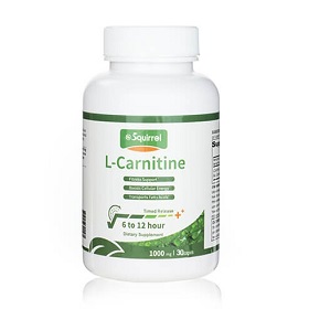 L-carnitine's application in baby food
